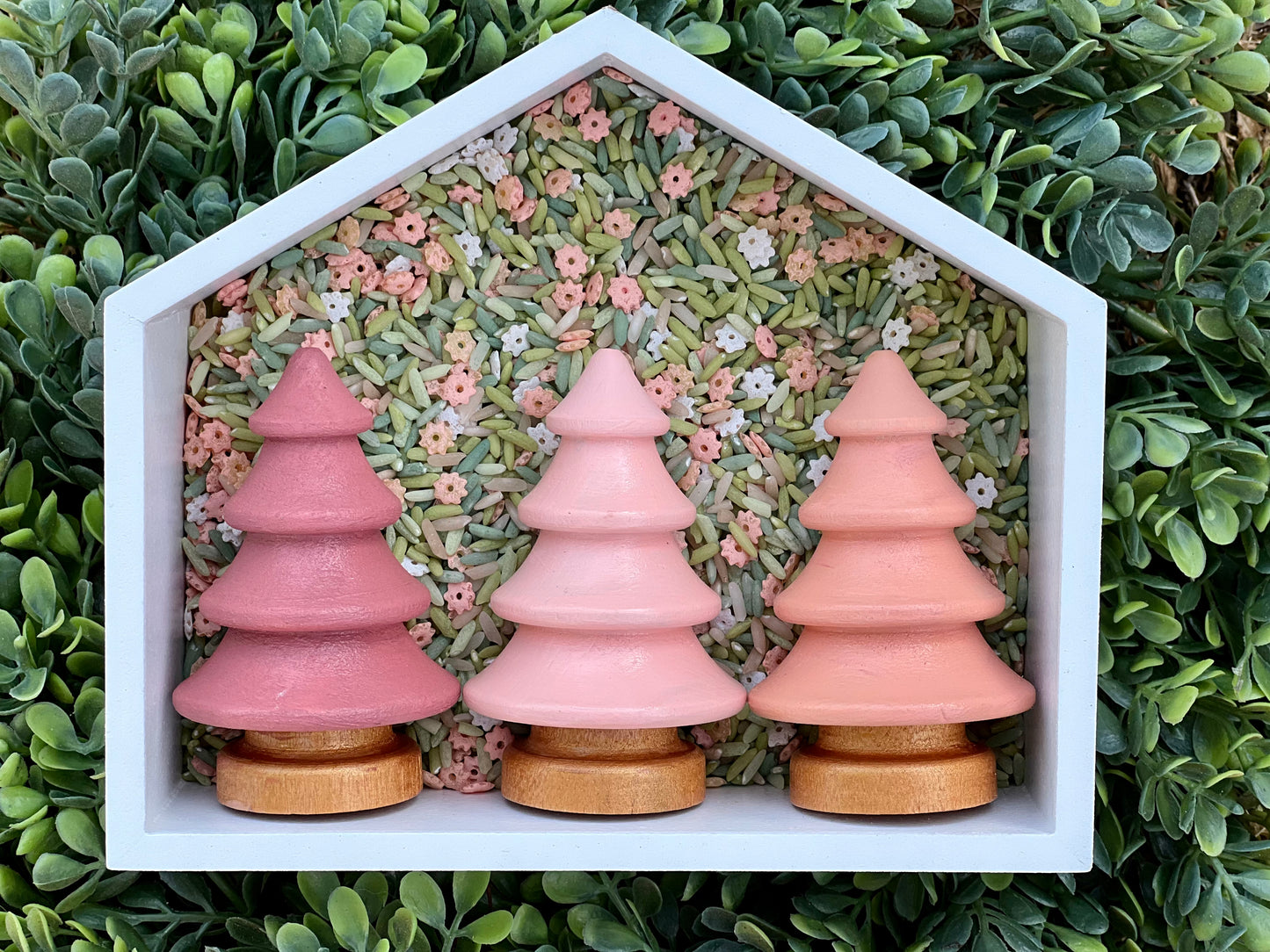 Exploring Nature Wooden Tree Sets