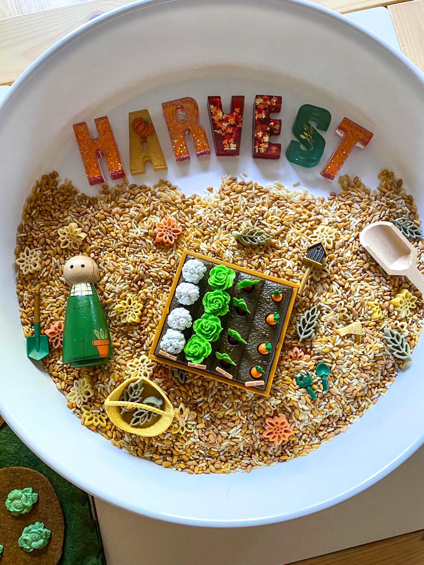 Amber Waves of Grain Sensory Bin Filler
