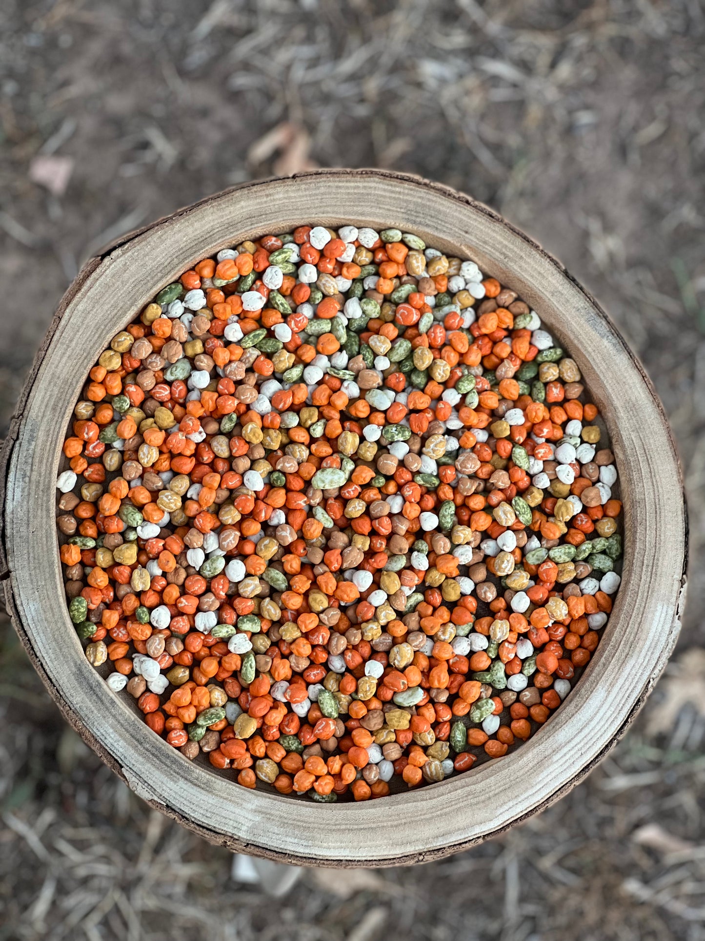 Oh My Gourd Pumpkin Patch Mix