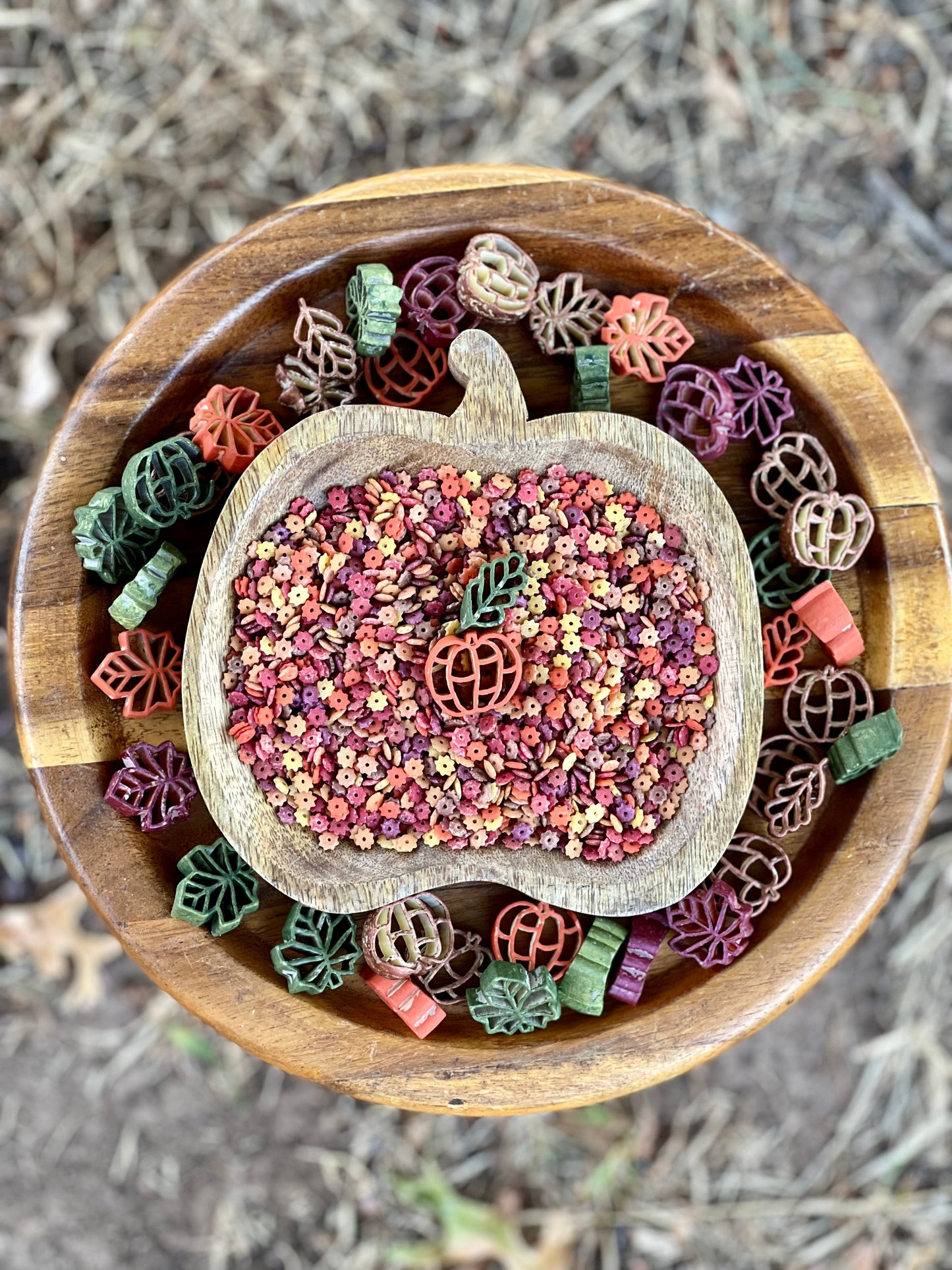 Leaves at Play Star Pasta Sensory Bin Filler