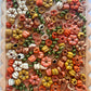 Pick of the Pumpkin Patch Sensory Bin Filler