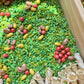 Bestie Bugs Sensory Play Filler
