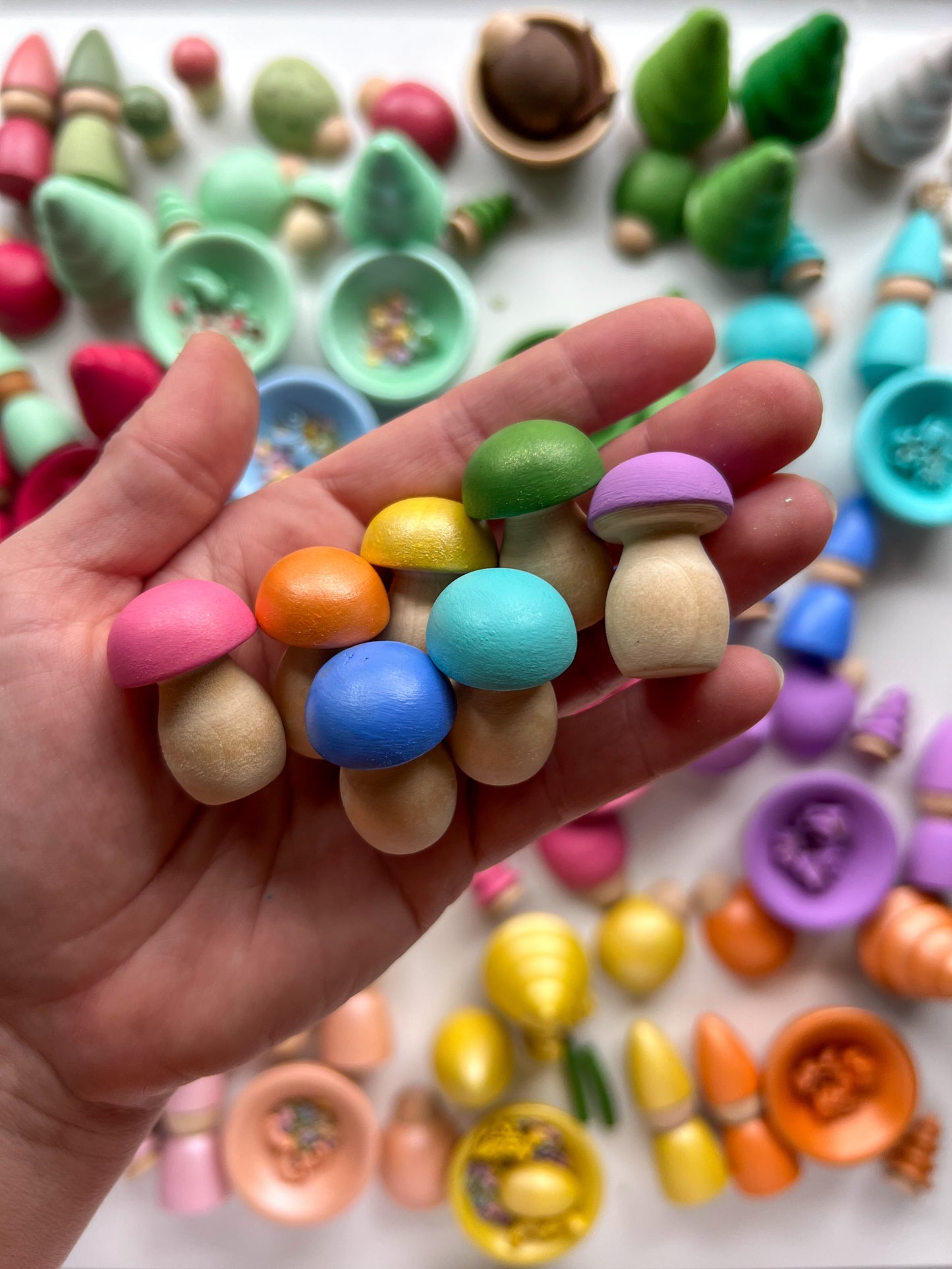 Dreamy Daisies Wooden Accessories