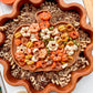 Pick of the Pumpkin Patch Sensory Bin Filler