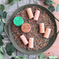 Perfect Dirt Sensory Bin Filler