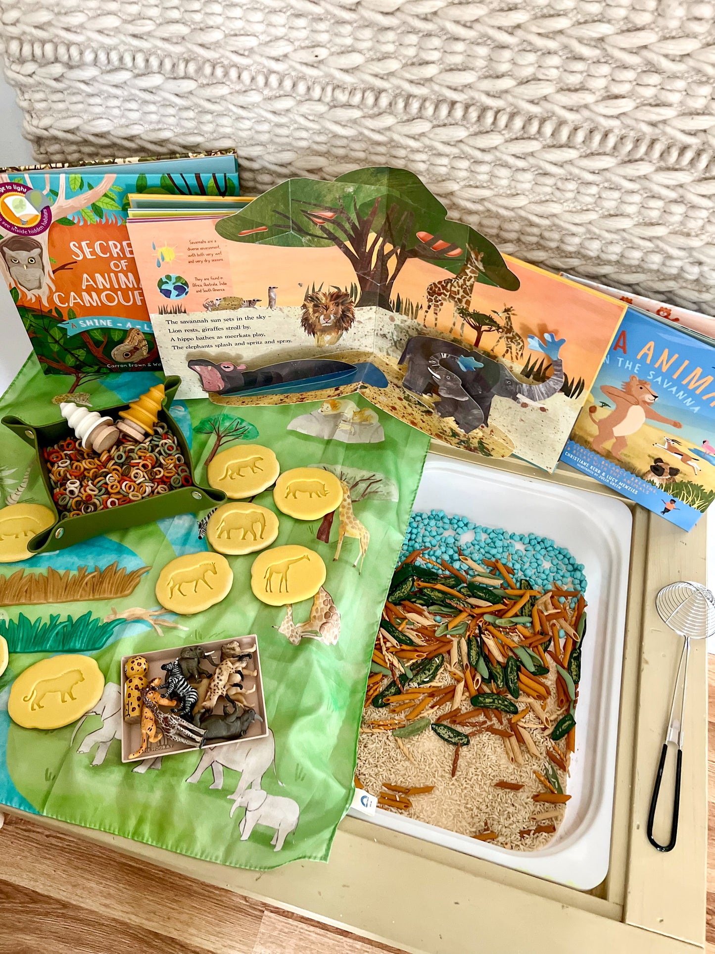 Scenic Safari Sensory Play Filler