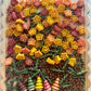 Sunny Wonders Pasta Sensory Bin Filler