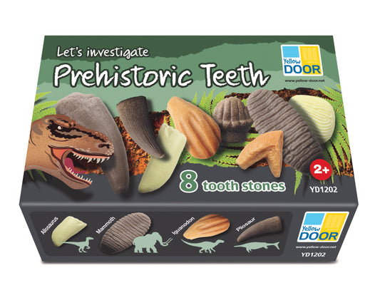 Dinosaur Prehistoric Teeth & Activity Cards *Preorder May 7*