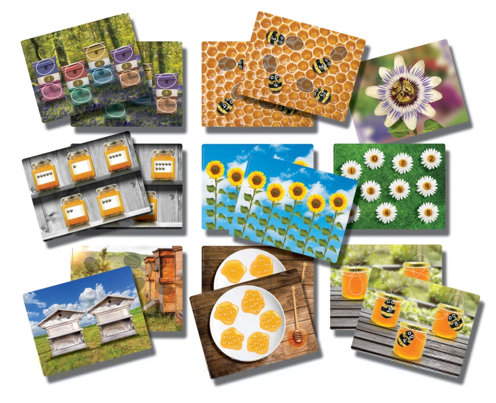 Honeybee Number Stones and Play Cards *Preorder March 1*