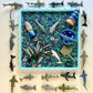Finned Friends *Limited Edition* Sensory Filler & Kit (Preorder by June 6)