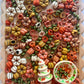 Pick of the Pumpkin Patch Sensory Bin Filler
