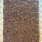 Autumn Earth Sensory Bin Filler