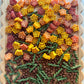 Sunny Wonders Pasta Sensory Bin Filler
