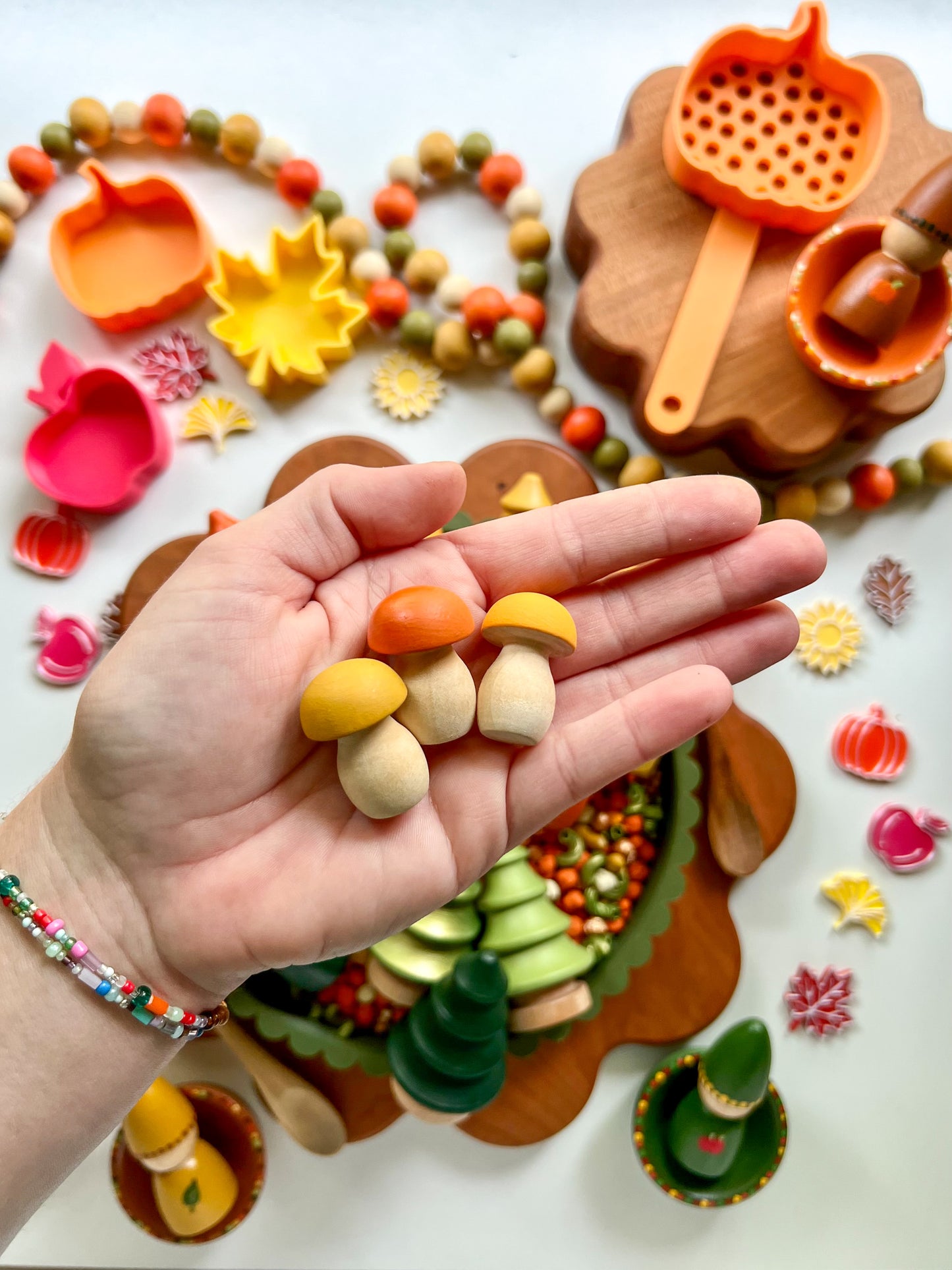 Pumpkin Patch Fall Wooden Accessories