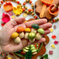Pumpkin Patch Fall Wooden Accessories