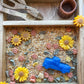 Amber Waves of Grain Sensory Bin Filler