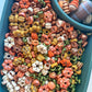 Pick of the Pumpkin Patch Sensory Bin Filler