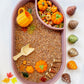 Pick of the Pumpkin Patch Sensory Bin Filler