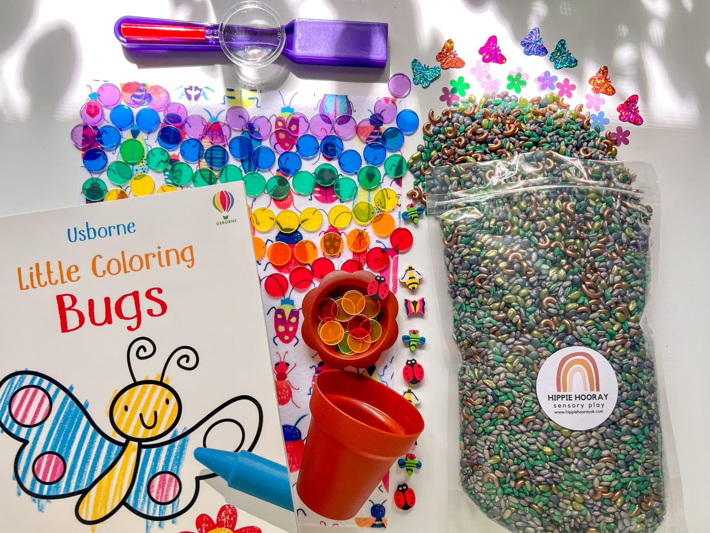 Summer Buggin’ Sensory Play Kit